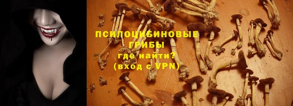 твердый Гусиноозёрск