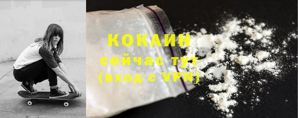 стаф Горняк
