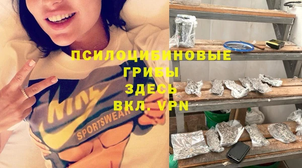 стаф Горняк