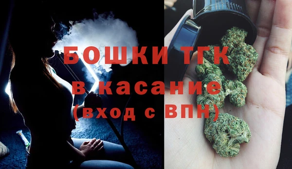 стаф Горняк